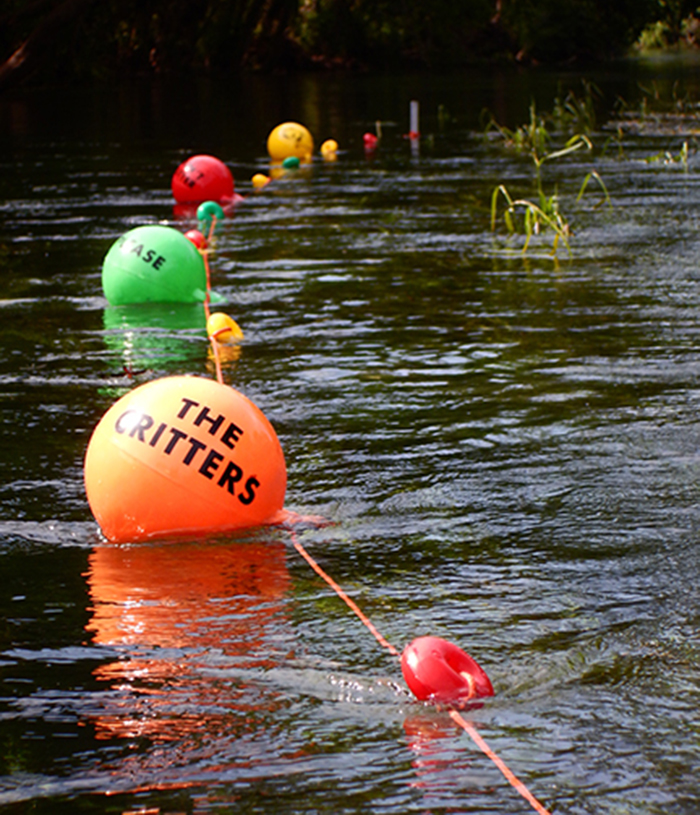 Small buoys afloat at Bicentennial Park