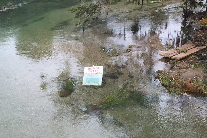 Existing sign in San Marcos River