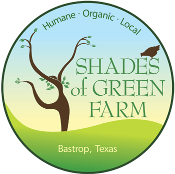 Shades of Green