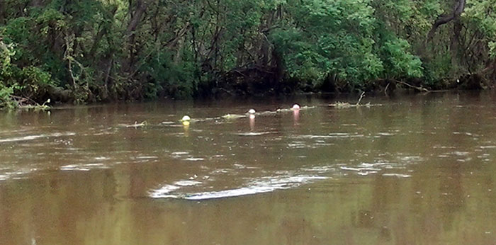 Buoys in flood conditions
