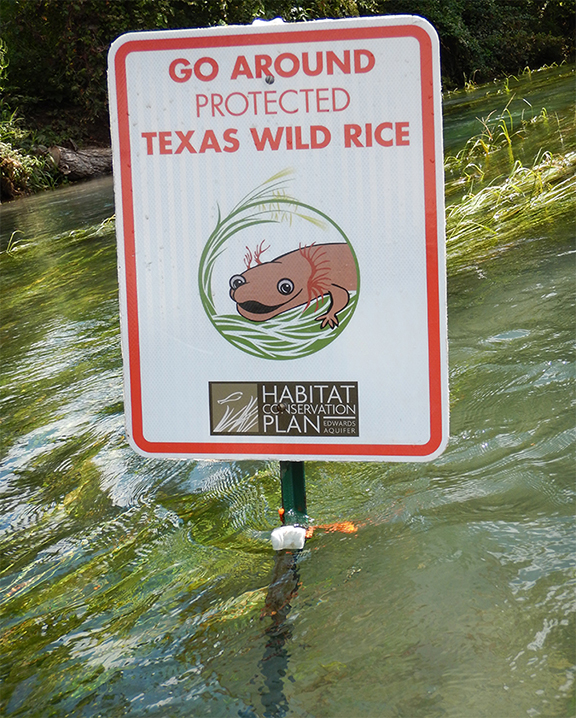 New sign in river.