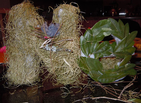 Building a letter with nesting material