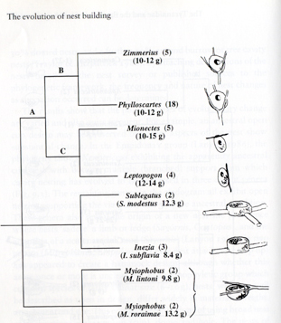 Nest type research