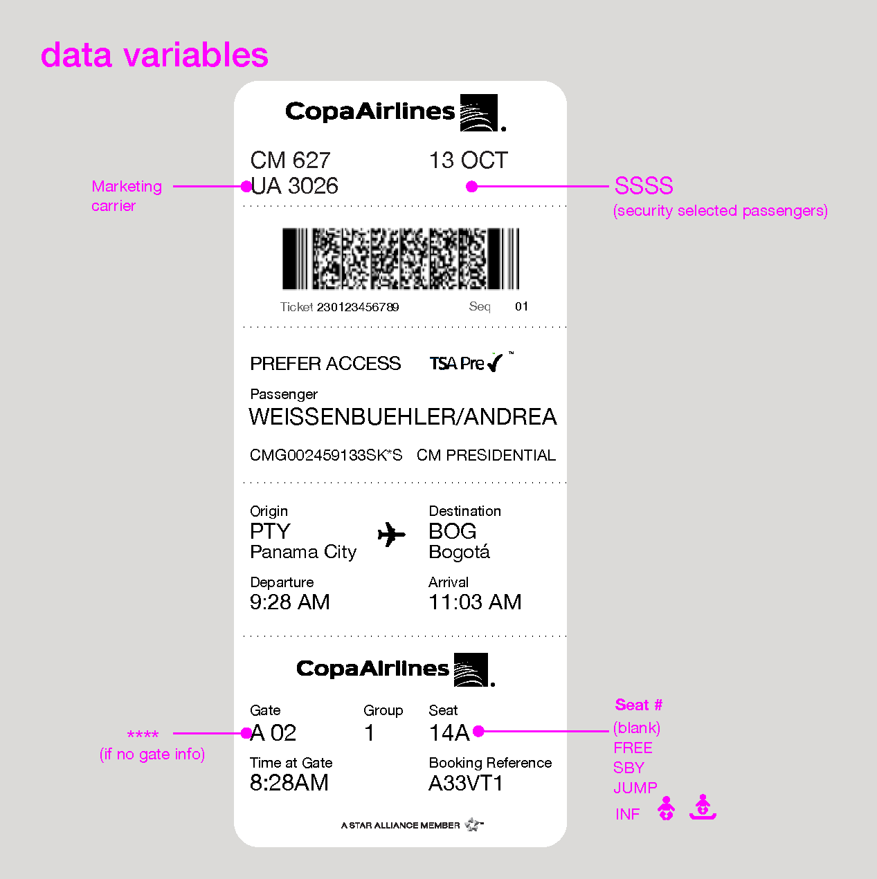 Notes on data points on boarding pass