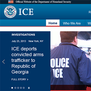 Details of ICE.gov design